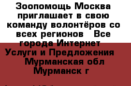 Зоопомощь.Москва приглашает в свою команду волонтёров со всех регионов - Все города Интернет » Услуги и Предложения   . Мурманская обл.,Мурманск г.